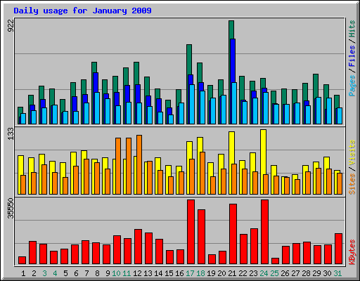 Daily usage for January 2009