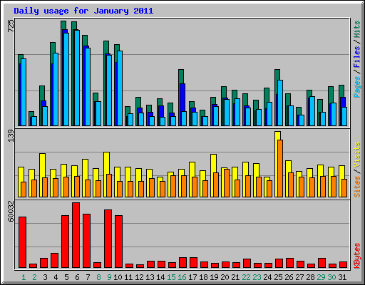 Daily usage for January 2011