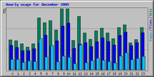 Hourly usage for December 2005