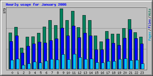 Hourly usage for January 2006