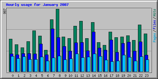 Hourly usage for January 2007