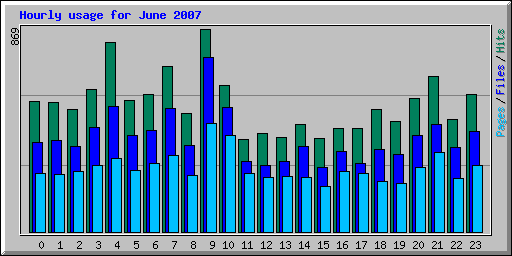 Hourly usage for June 2007