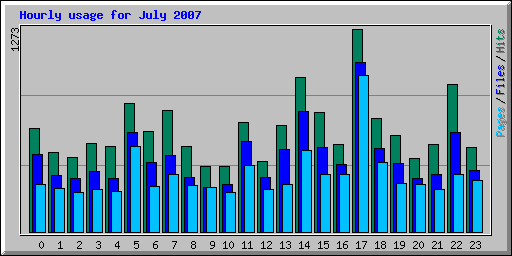 Hourly usage for July 2007