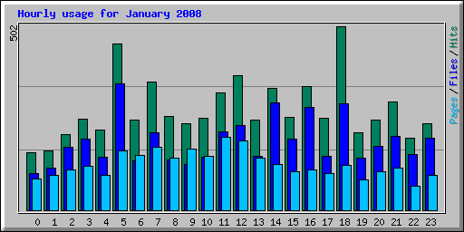 Hourly usage for January 2008