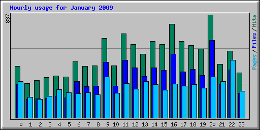 Hourly usage for January 2009